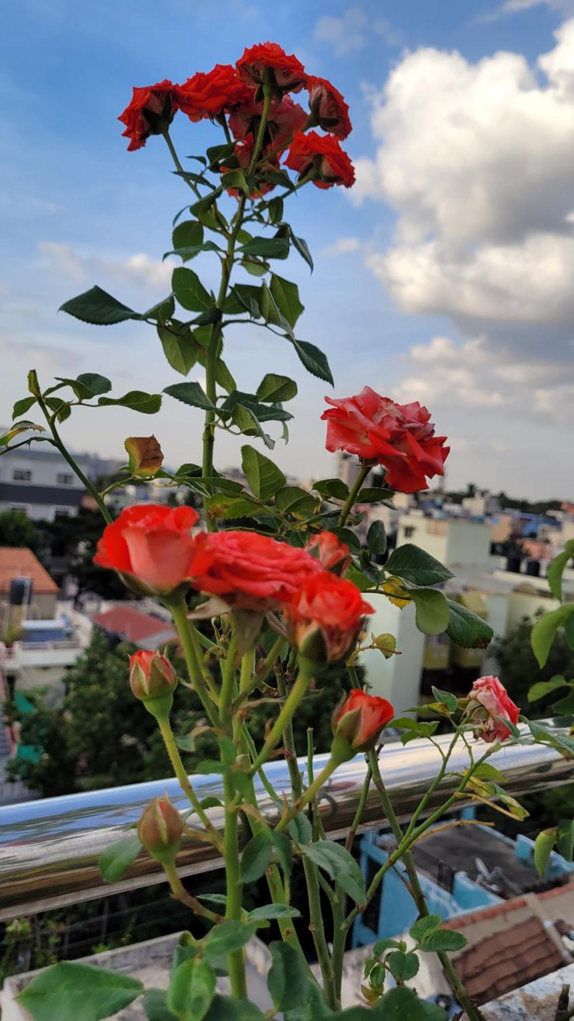 Rvr Home - Beautiful Rooms บังกาลอร์ ภายนอก รูปภาพ